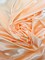 1 Yard Soft Peach Satin Fabric 100% Polyester Lightweight Medium 58″-60″Width